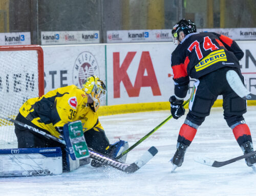 AHC: Lions ziehen Hornets den Stachel