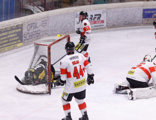 AHC: Löwen verlieren auch Spiel 2