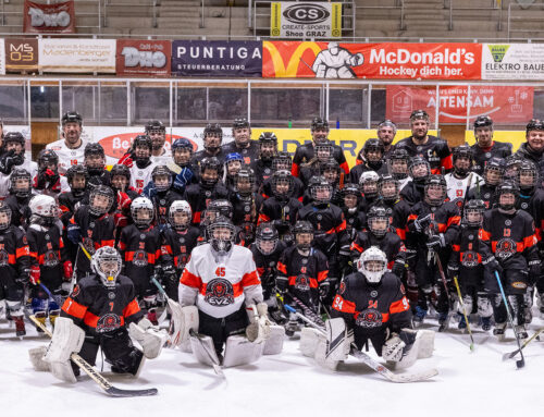 Nachwuchsarbeit bei den Löwen!