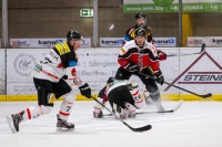 MAYC6960