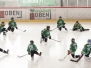 LLZ Nord - EHC Lions 1:9