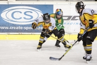 MAYC8431