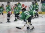 LLZ Nord - Vienna Tigers 0:10
