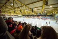 ©lucaspripfl_20161119_035
