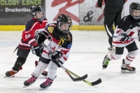 EVZU8U10Turnier (117)