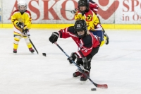 EVZU8U10Turnier (81)