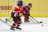 EVZU8U10Turnier (96)