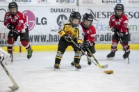 EVZU8U10Turnier(148)