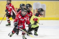 EVZU8U10Turnier(175)