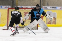 MAYC6223